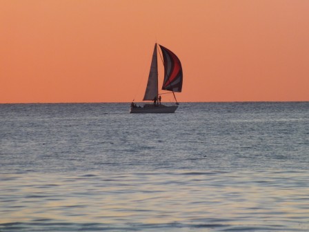 DSCF9676.JPG